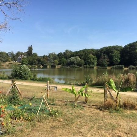 Maison Face A L'Etang Précy Zewnętrze zdjęcie