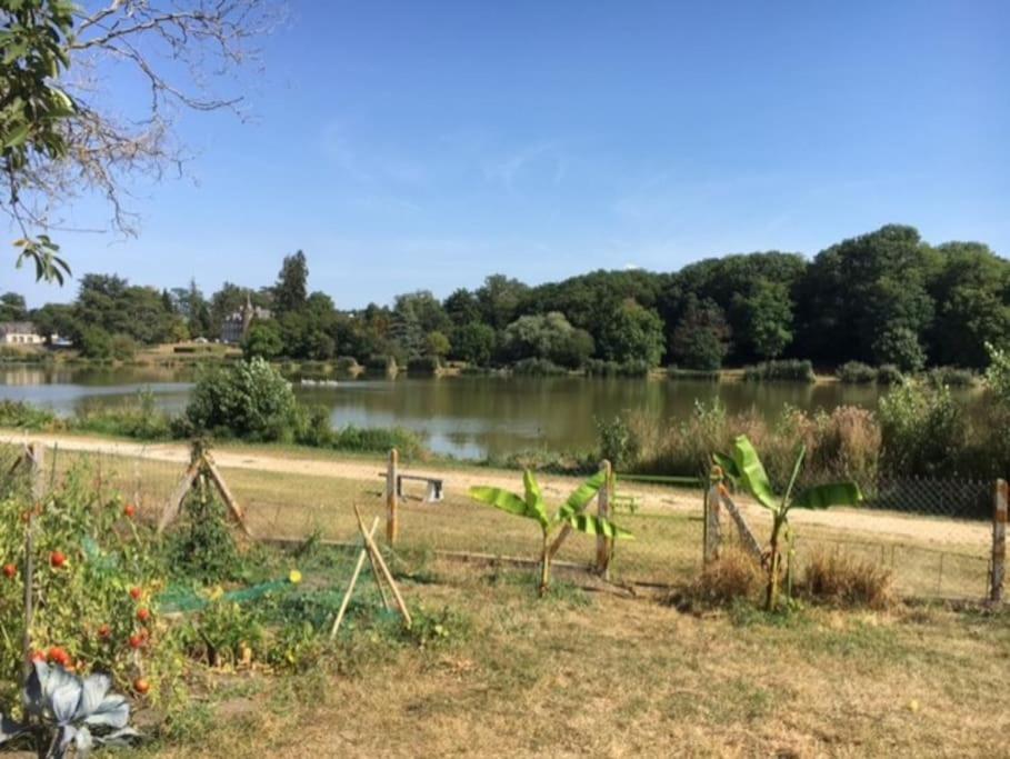 Maison Face A L'Etang Précy Zewnętrze zdjęcie